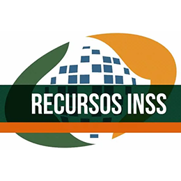irene-erecursos